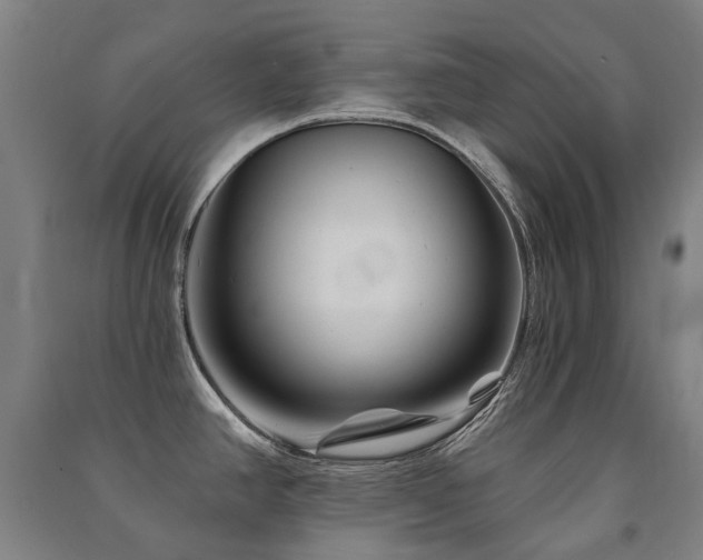 X0000091471390200708161350
