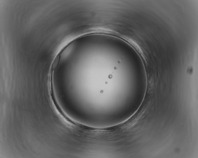 X0000091471391200708161350