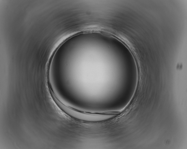 X0000091471392200708161350