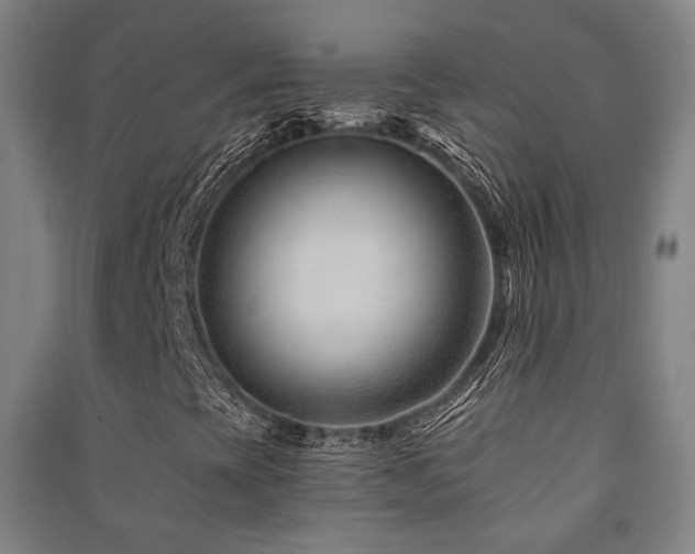 X0000091471393200708161349