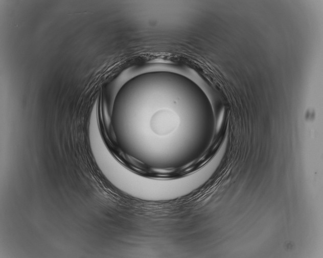 X0000091471394200708161349