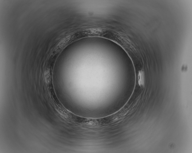X0000091471395200708161349