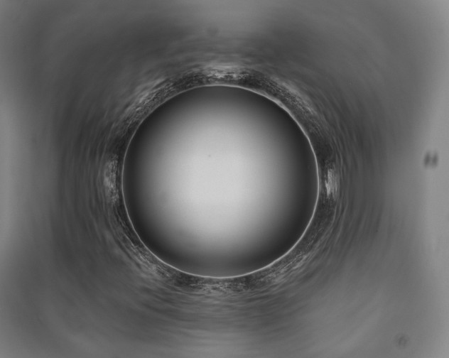 X0000091471396200708161349