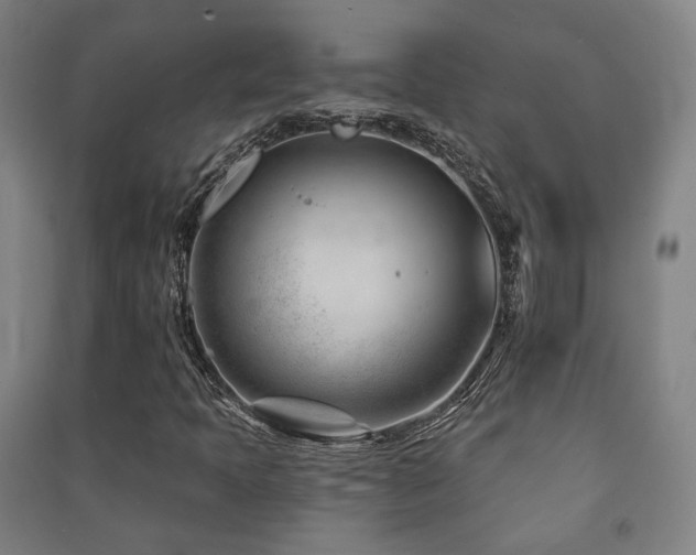 X0000091471397200708161349
