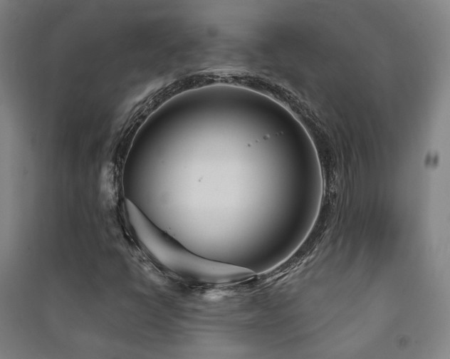X0000091471398200708161349