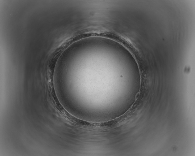 X0000091471399200708161349
