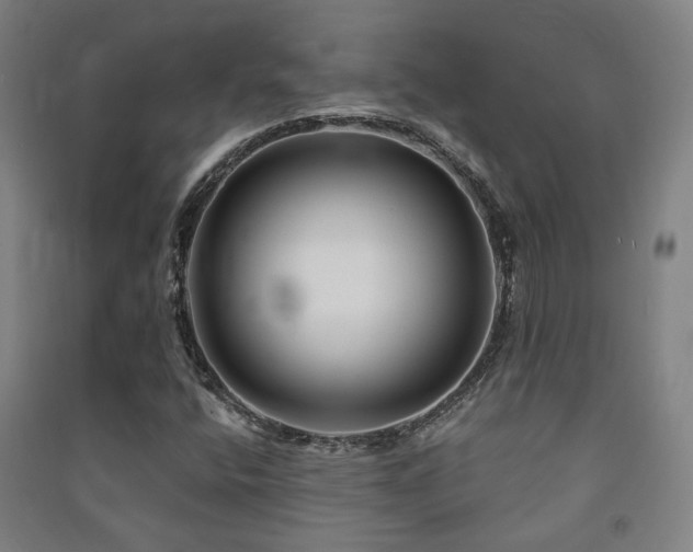 X0000091471400200708161349
