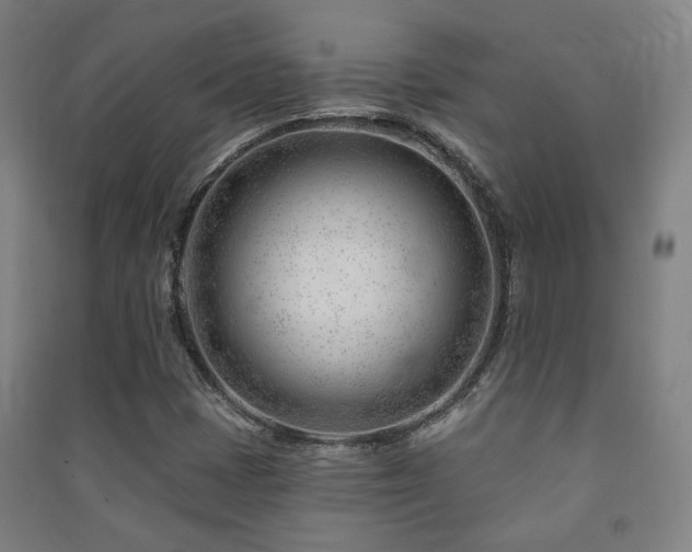 X0000091471401200708161349