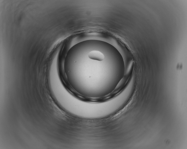 X0000091471402200708161349