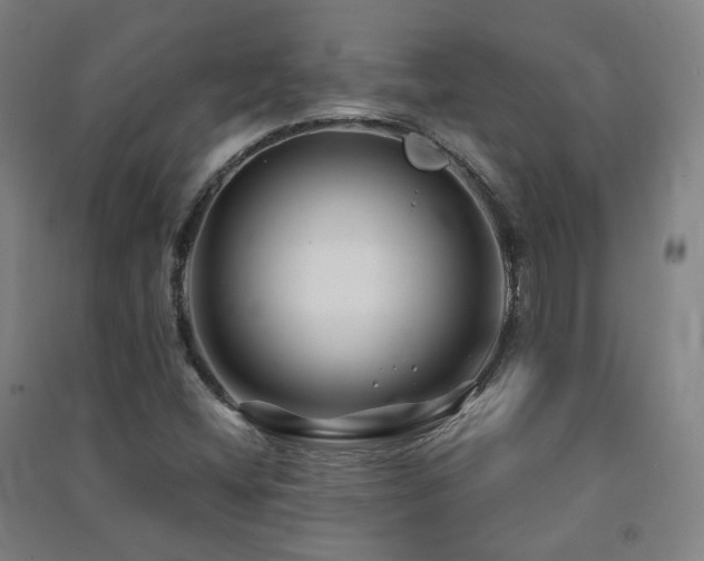 X0000091471404200708161349