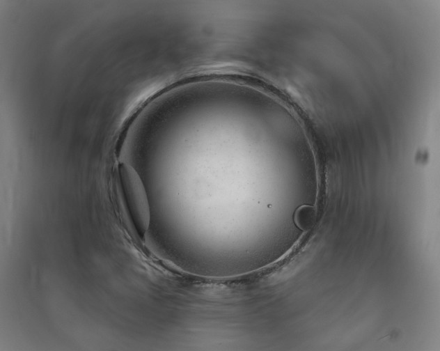 X0000091471405200708161349