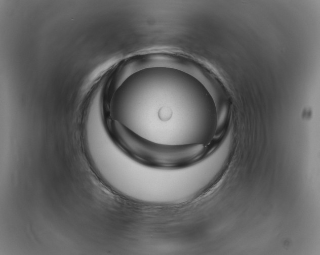 X0000091471406200708161349