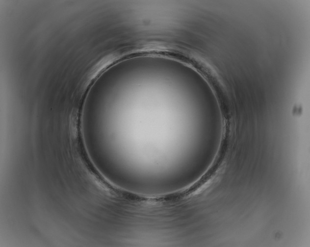 X0000091471409200708161349