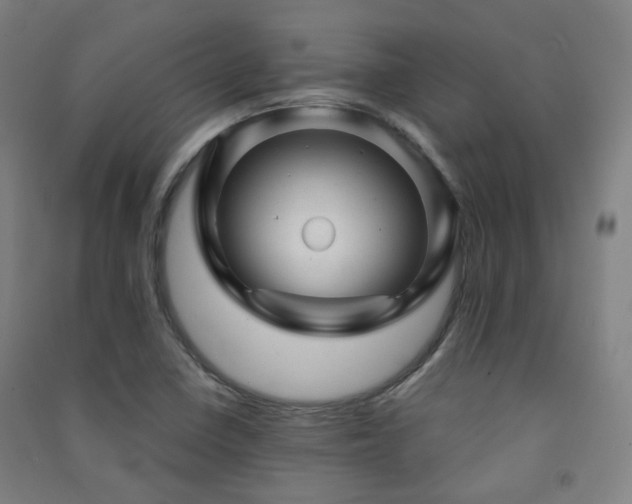 X0000091471410200708161349