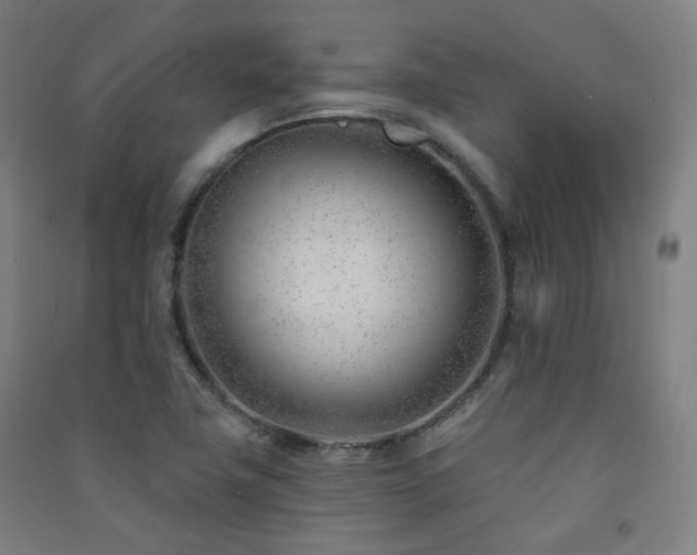 X0000091471411200708161349