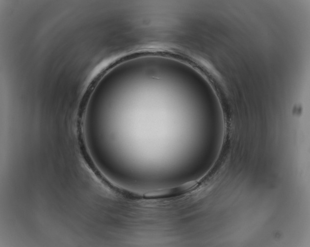 X0000091471412200708161349