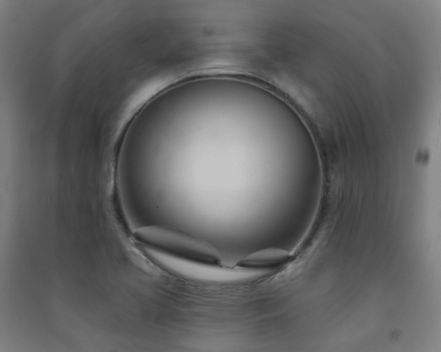 X0000091471413200708161349