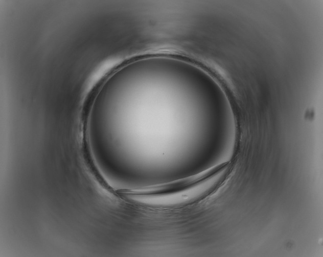 X0000091471414200708161349