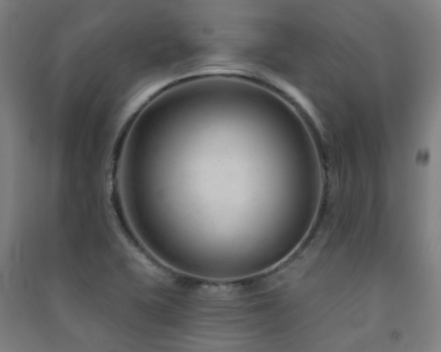X0000091471415200708161349