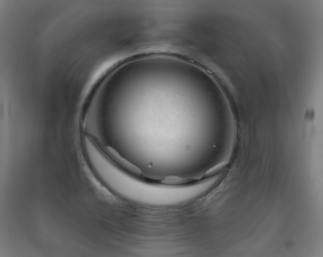 X0000091471416200708161349