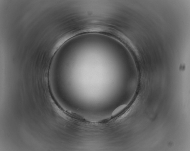 X0000091471417200708161349