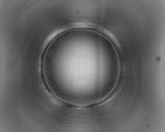 X0000091471419200708161349