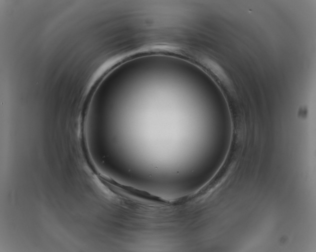 X0000091471420200708161350