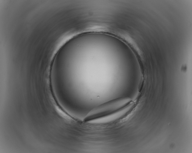 X0000091471421200708161350