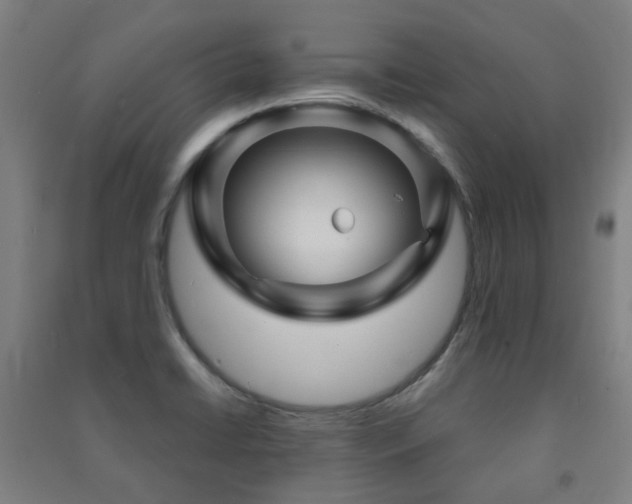 X0000091471422200708161350