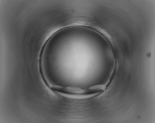 X0000091471423200708161350