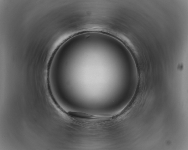 X0000091471424200708161350