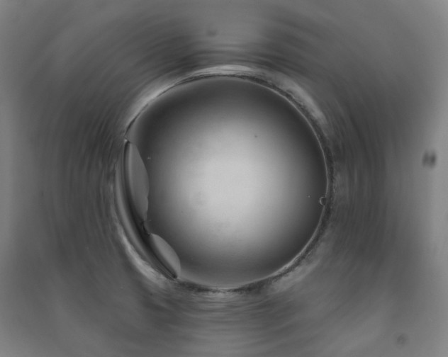 X0000091471425200708161350