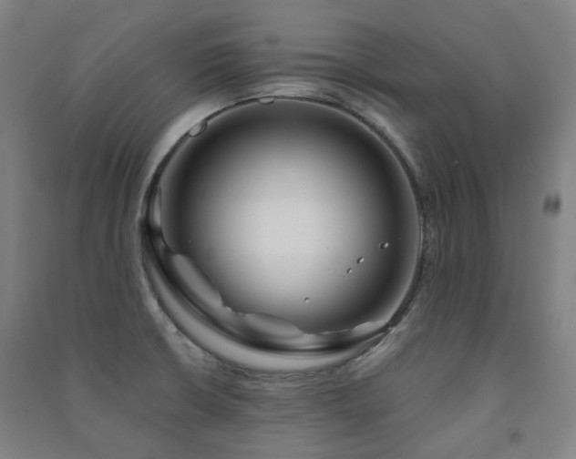 X0000091471426200708161350