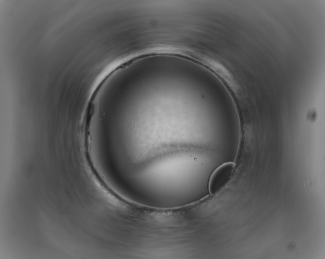 X0000091471428200708161350