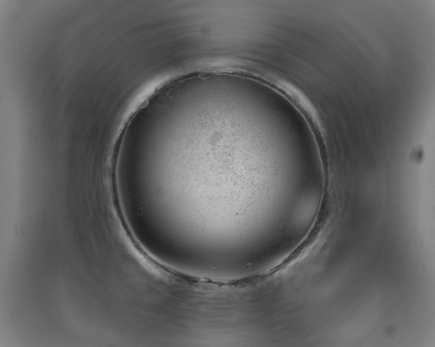 X0000091471429200708161350