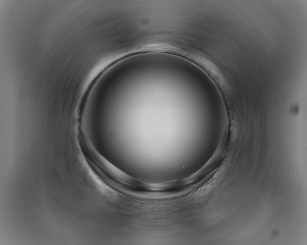X0000091471430200708161350