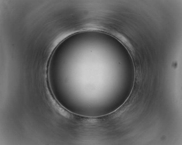 X0000091471431200708161350