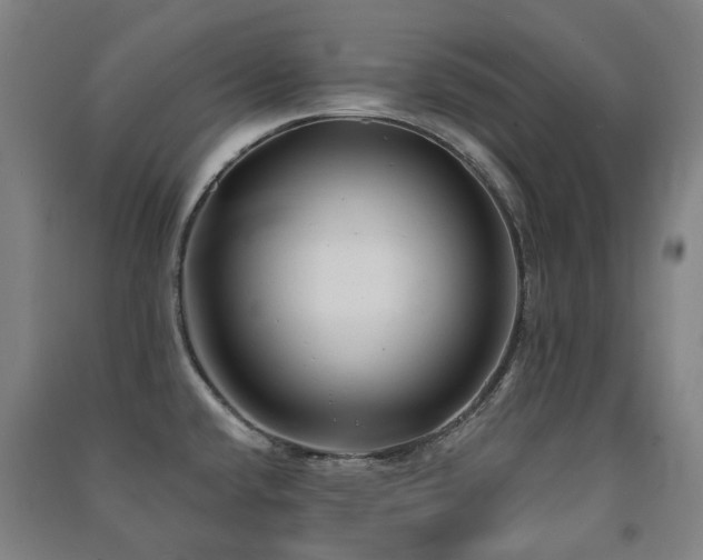 X0000091471432200708161350