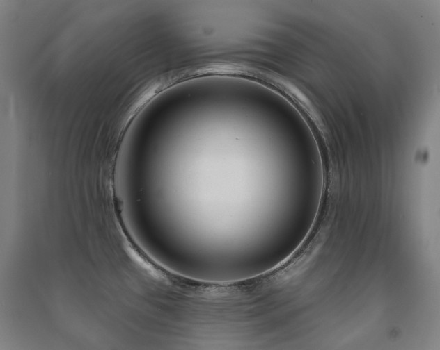 X0000091471433200708161350