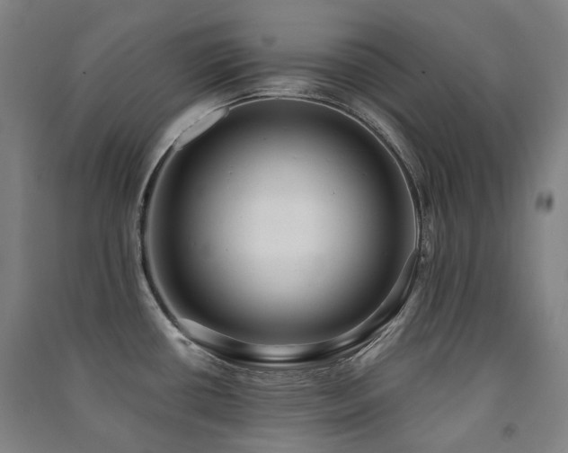 X0000091471434200708161350