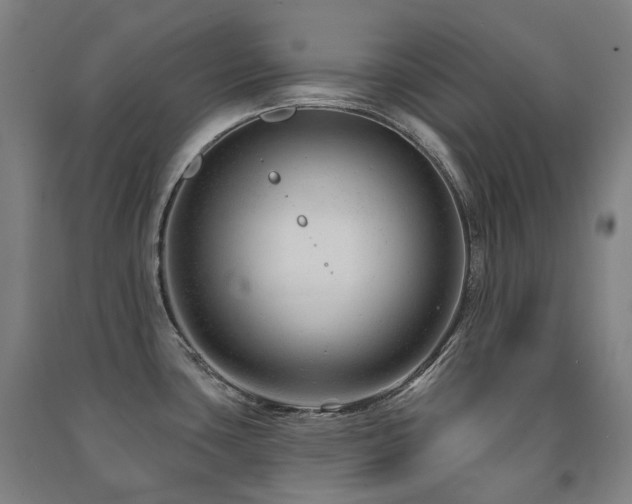 X0000091471435200708161350