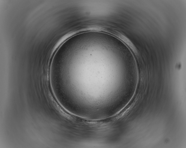 X0000091471436200708161350