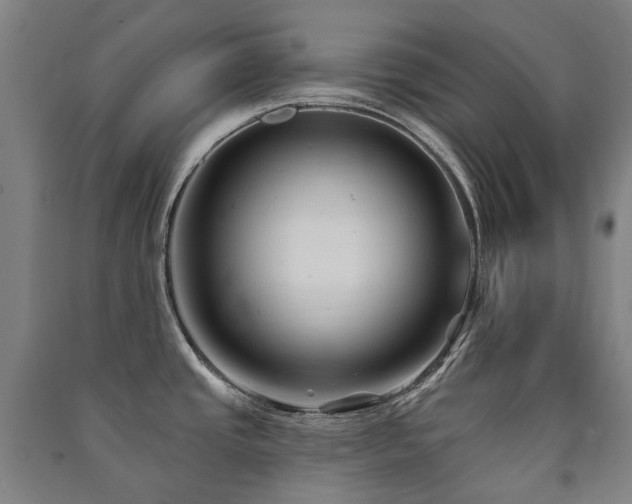 X0000091471437200708161350