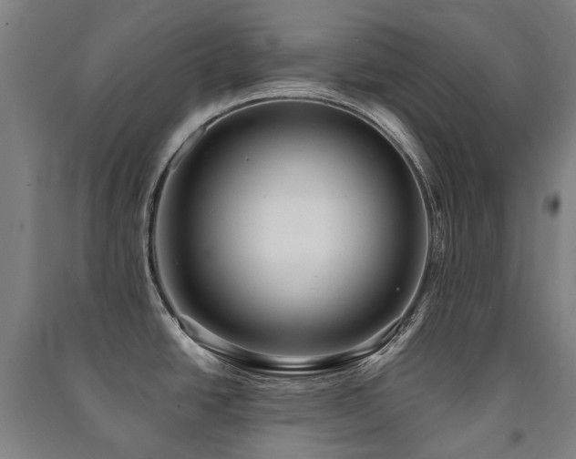 X0000091471438200708161350