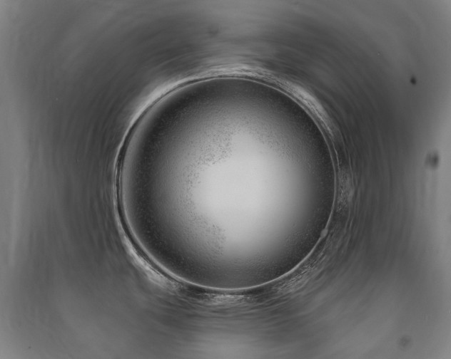 X0000091471439200708161350