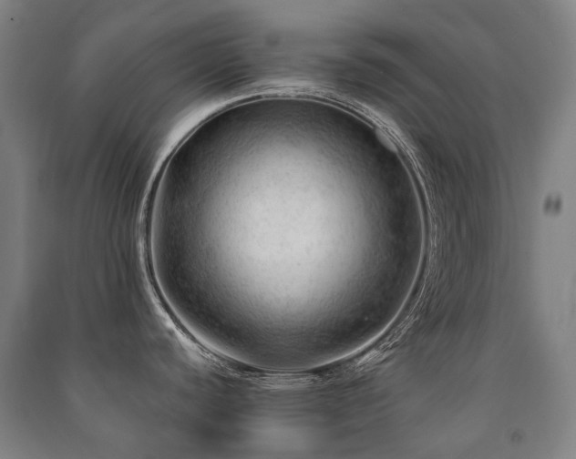 X0000091471440200708161350
