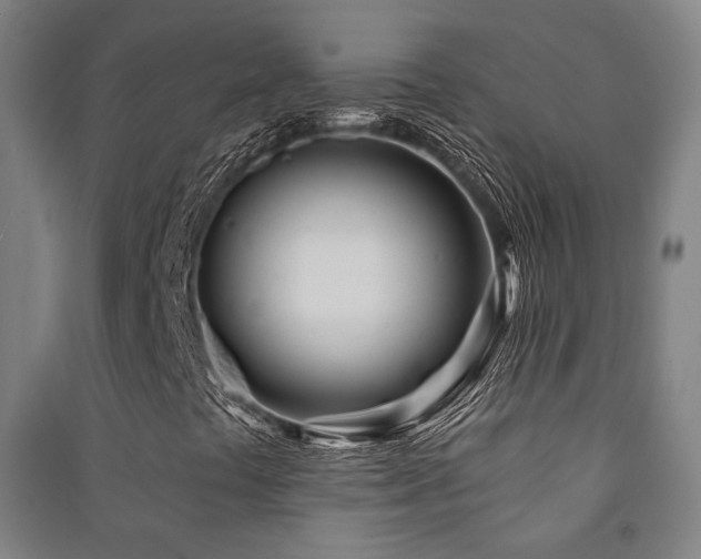 X0000091471441200708161349