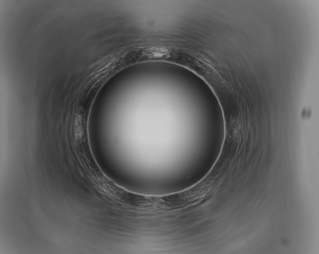 X0000091471442200708161349