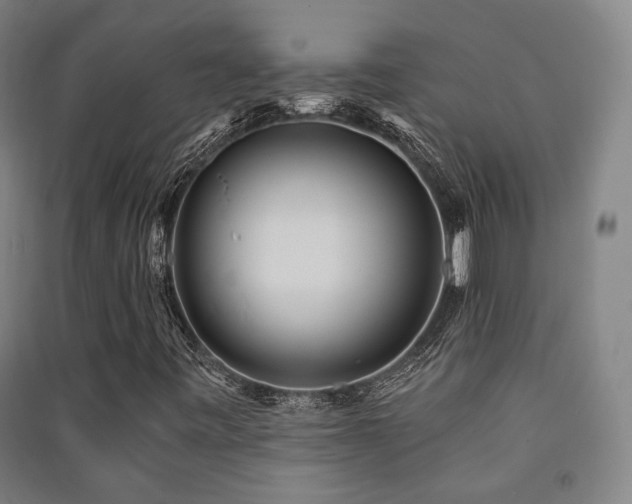 X0000091471443200708161349