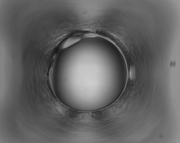 X0000091471444200708161349
